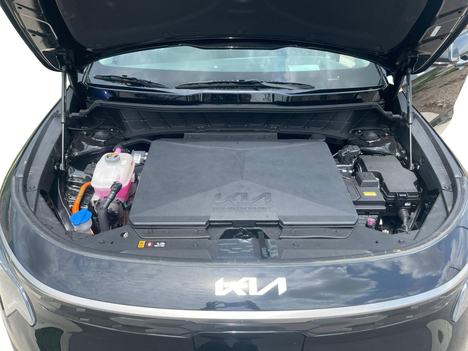 2024 Kia Niro EV Wave photo 7