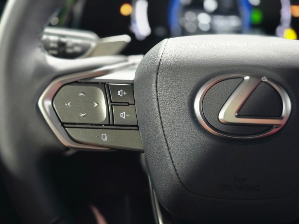 2025 Lexus NX 450h+ Luxury photo 14
