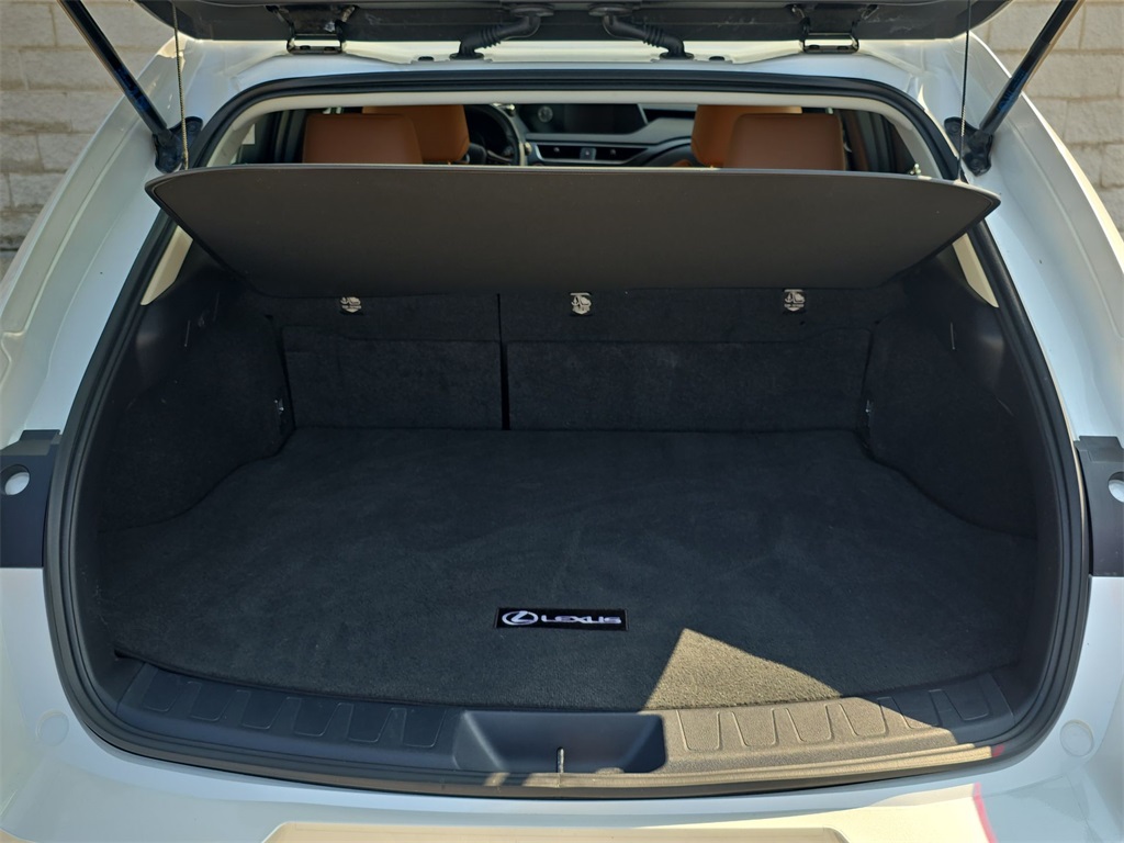2022 Lexus UX 250h photo 32