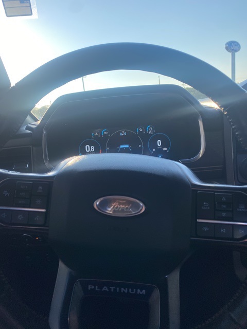 2022 Ford F-150 Platinum photo 17