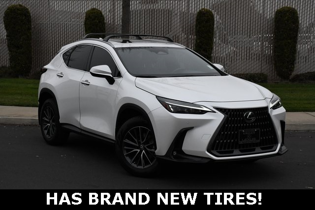2024 Lexus NX Hybrid 350h's photo