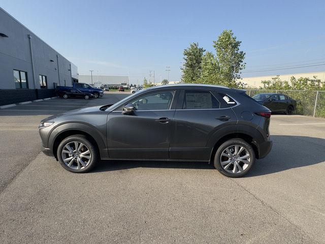 2025 Mazda CX-30 2.5 S Preferred photo 9