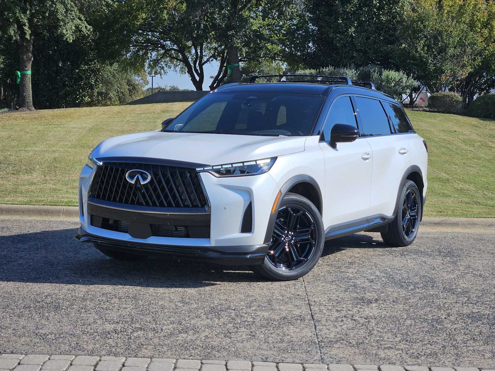 2026 INFINITI QX60 LUXE's photo