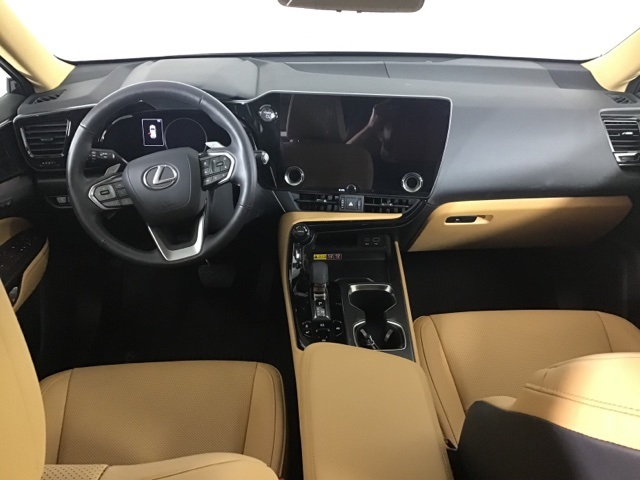 2025 Lexus NX 350h Premium photo 11