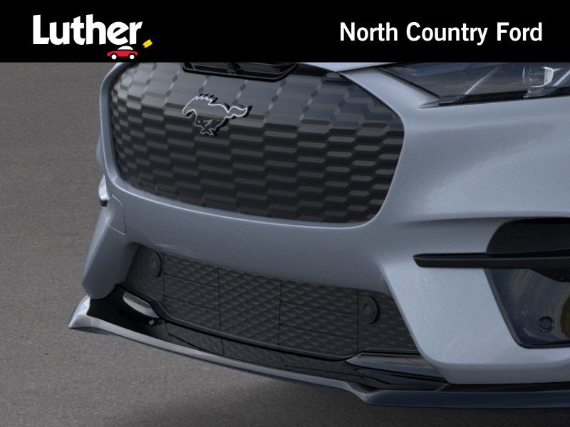 2025 Ford Mustang Mach-E GT photo 14