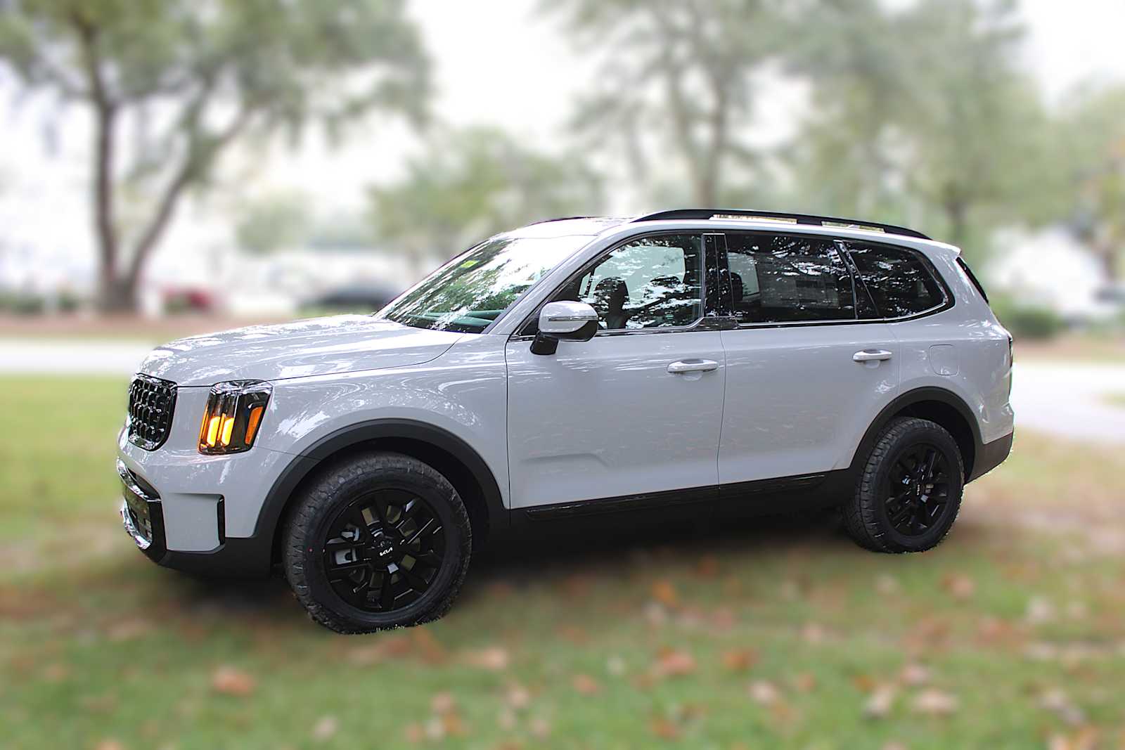 2025 Kia Telluride SX X-Line photo 12