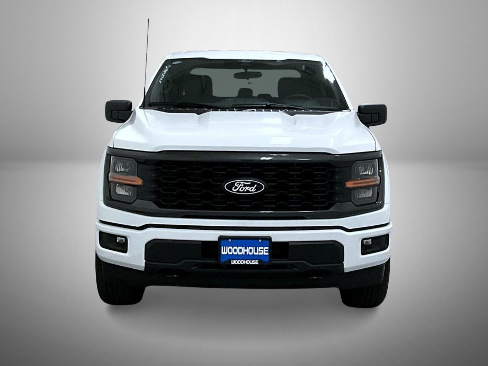 2025 Ford F-150 STX photo 2