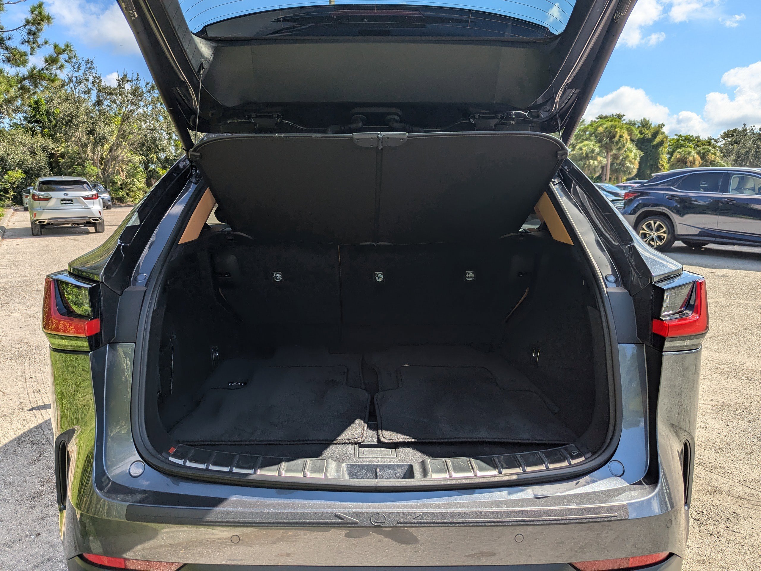2025 Lexus NX Premium photo 11