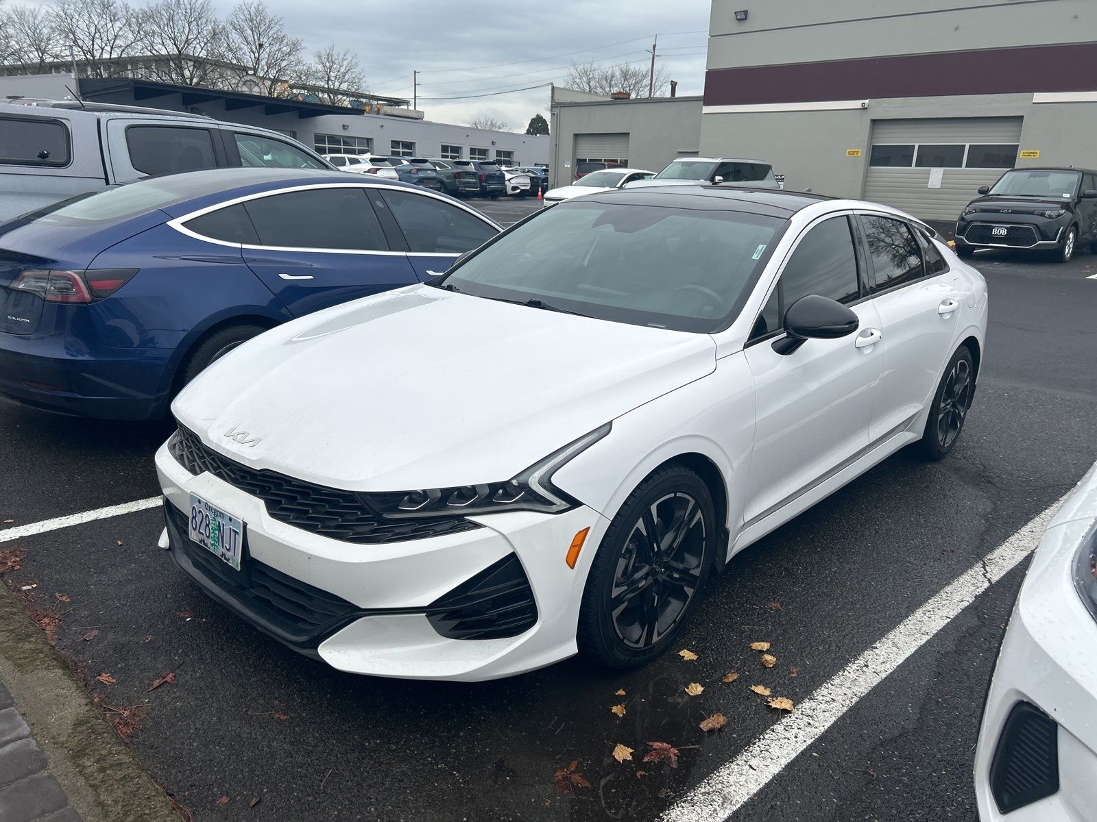 2022 Kia K5 GT-Line's photo