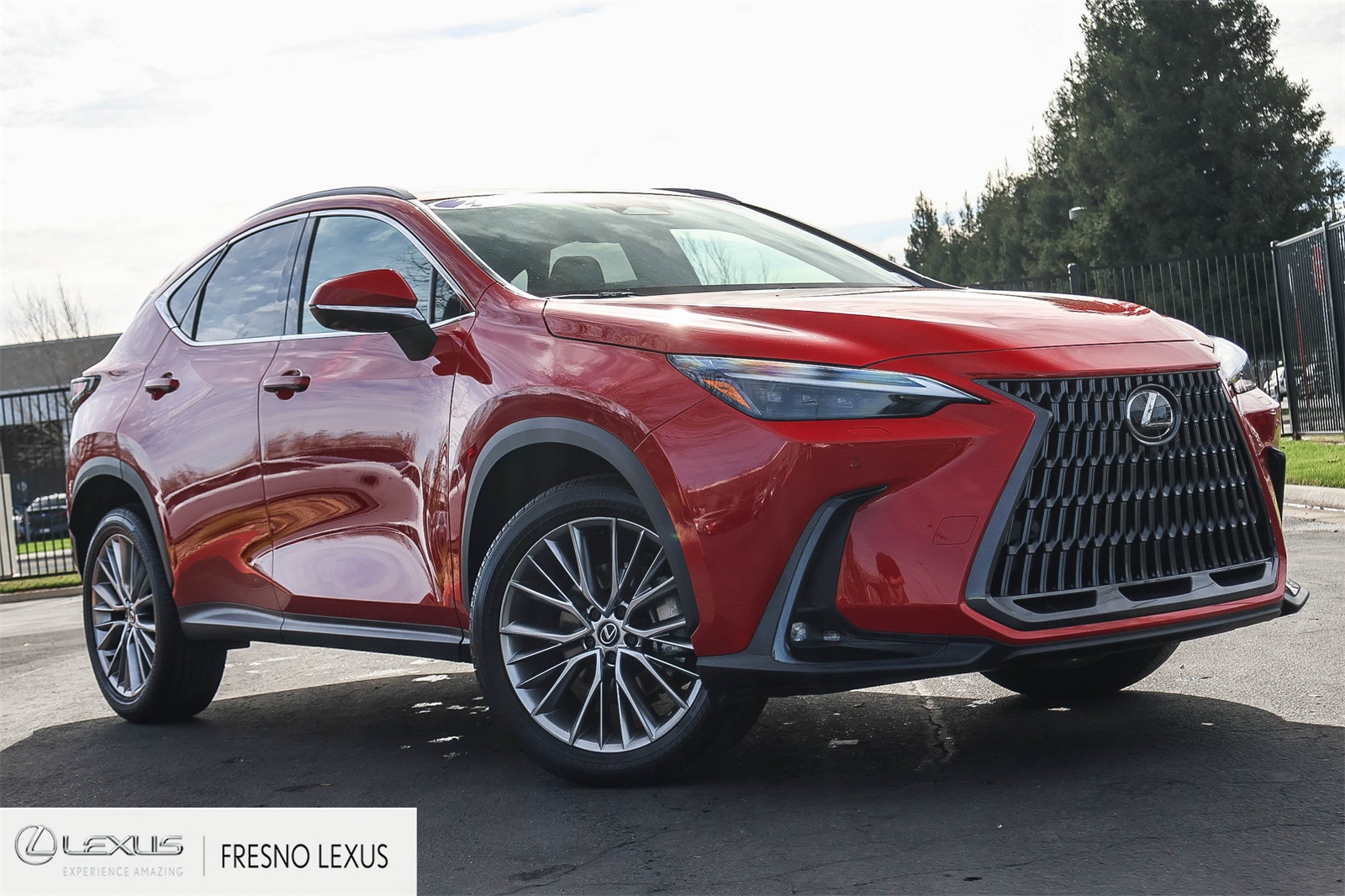 2024 Lexus NX 350's photo