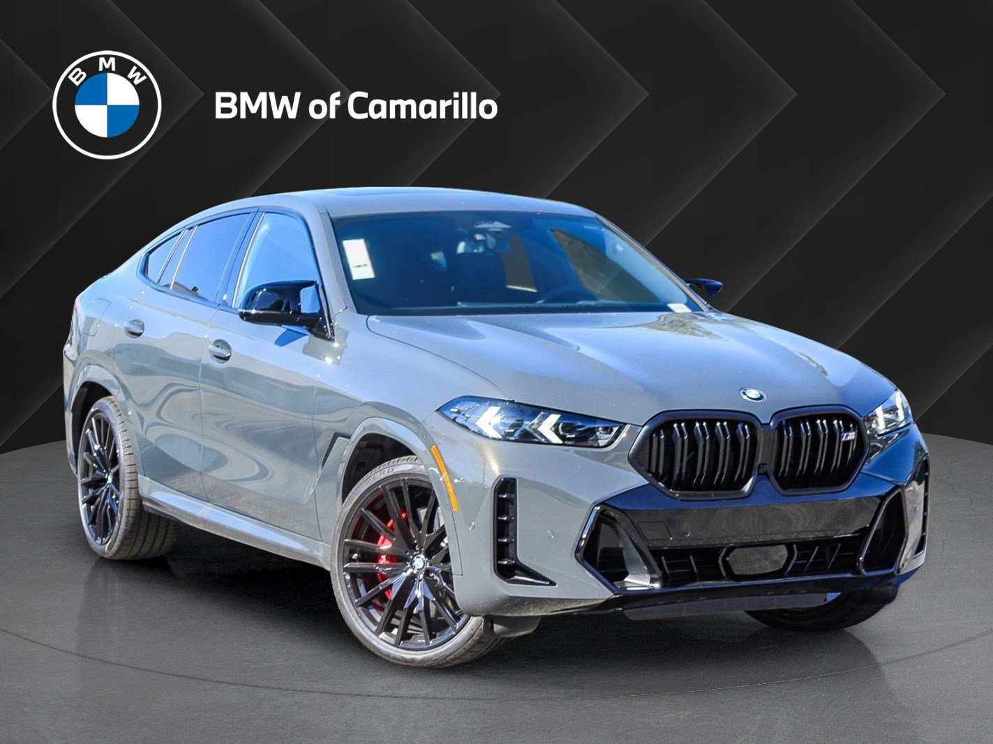 2026 BMW X6 M60i's photo