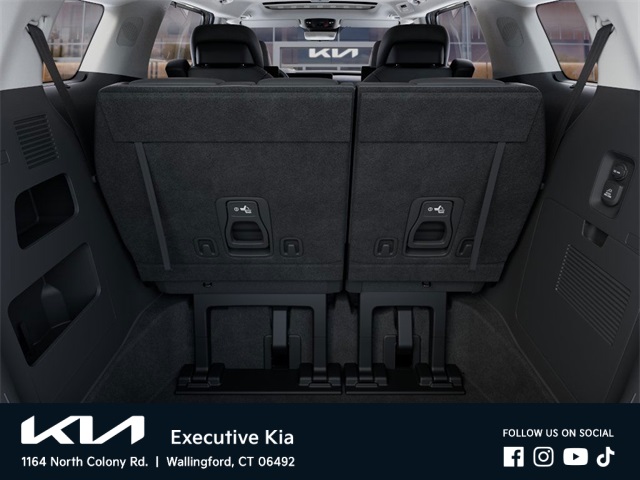 2025 Kia Carnival SX Prestige photo 17