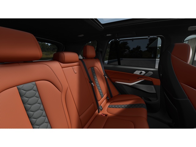 2026 Bmw X5 photo 10
