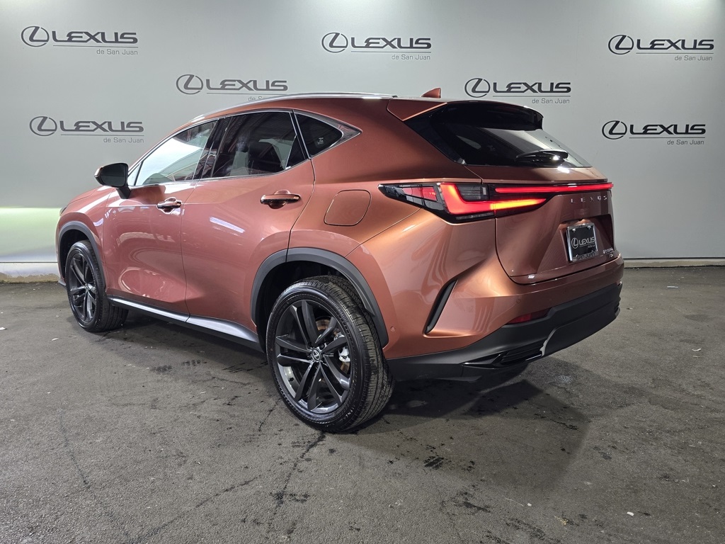 2025 Lexus NX 350h Premium AWD photo 7