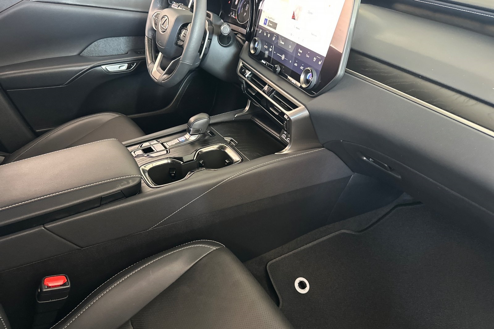 2024 Lexus RX 350h AWD photo 10