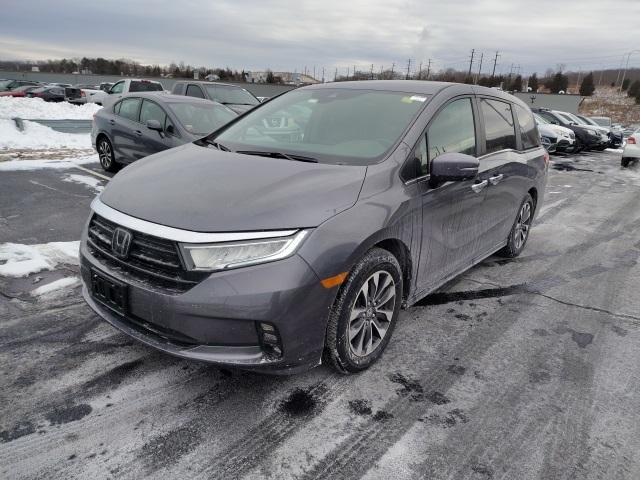 2024 Honda Odyssey EX-L's photo