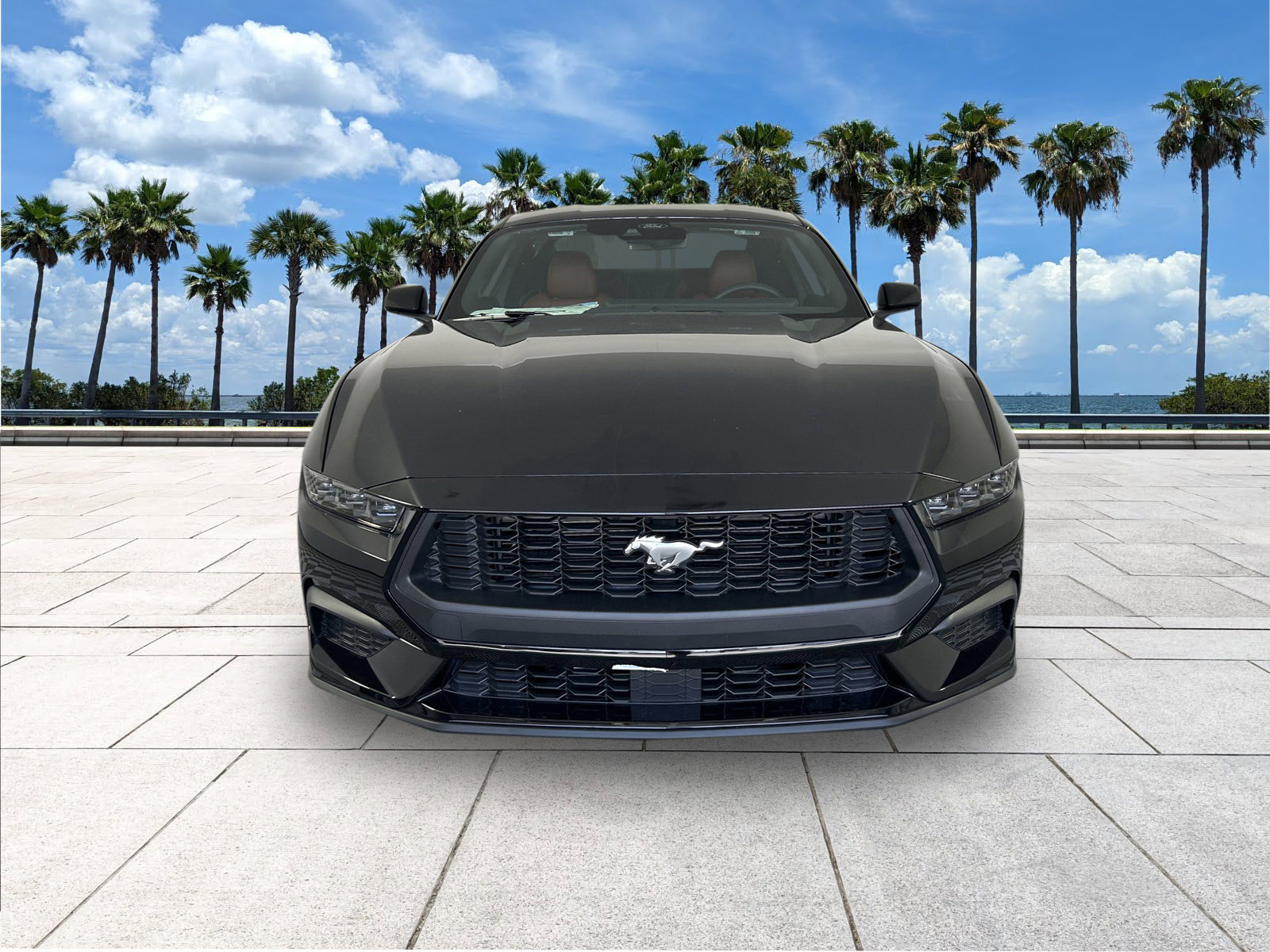 2025 Ford Mustang EcoBoost Premium photo 3