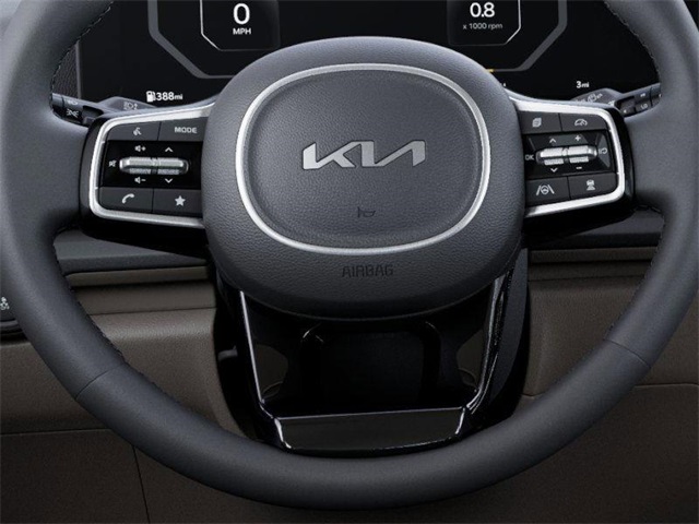 2026 Kia Carnival SX Prestige photo 21