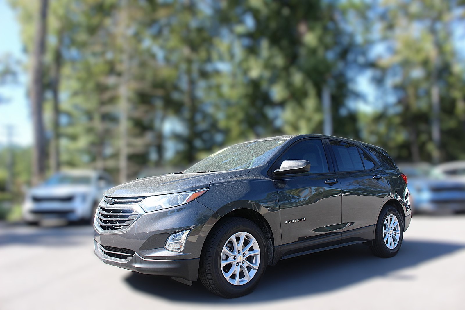 2019 Chevrolet Equinox LS photo 2