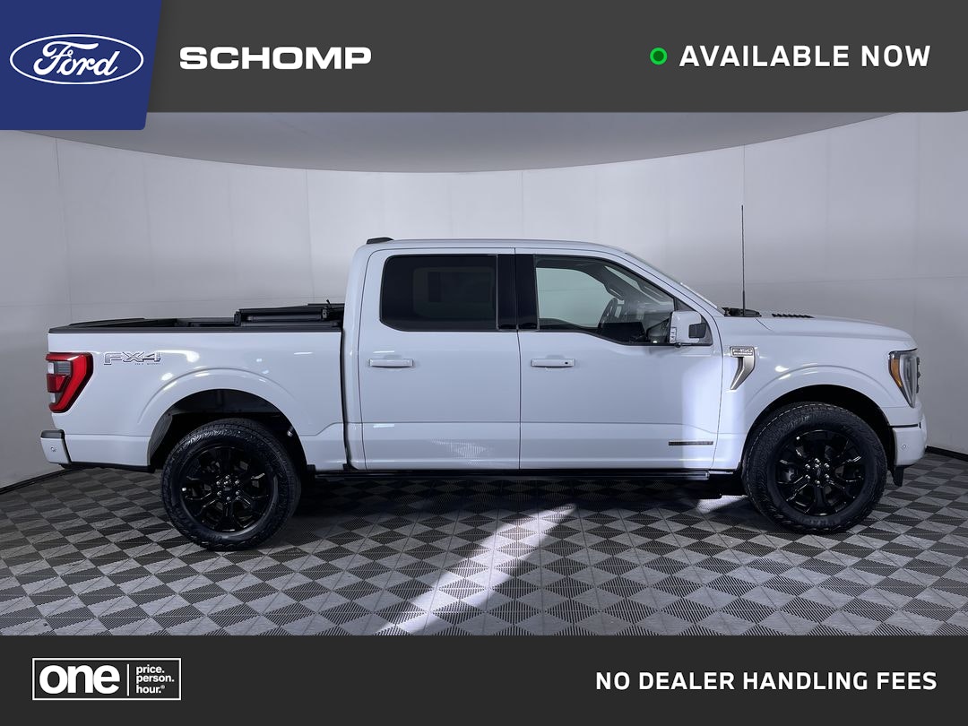 2023 Ford F-150 Platinum's photo