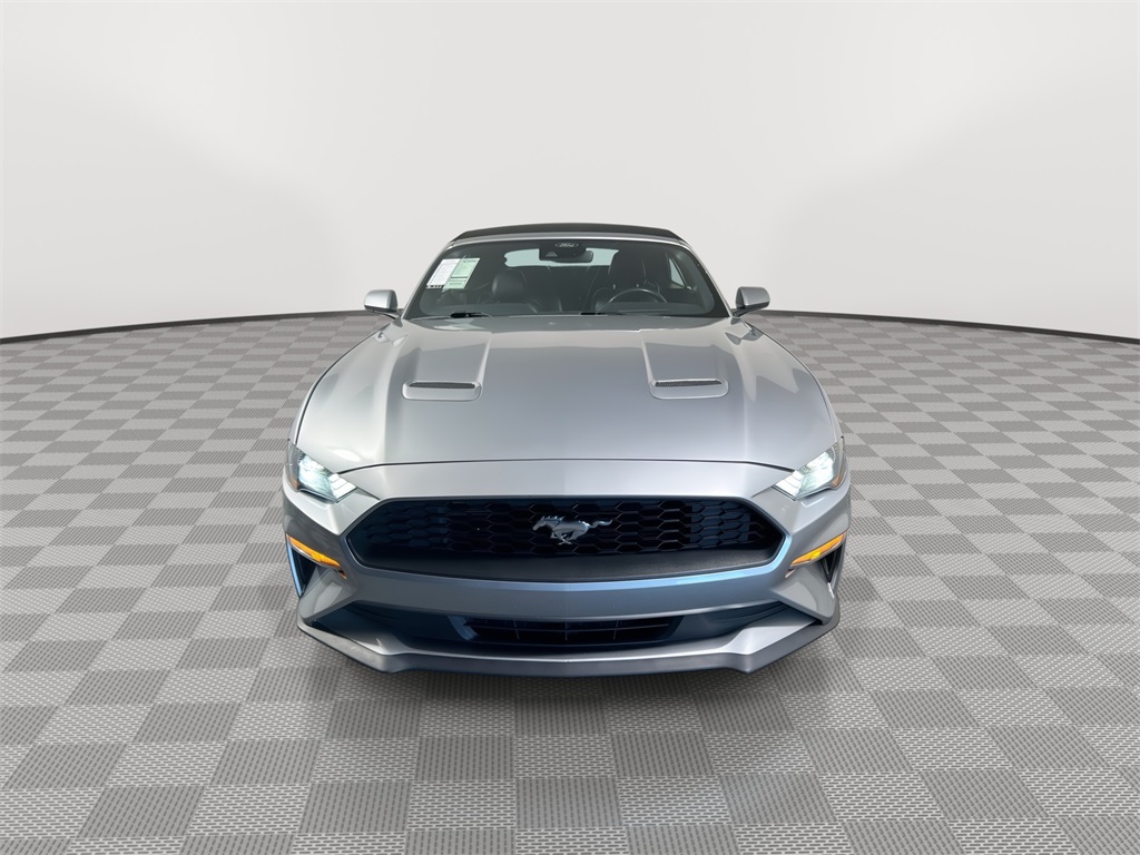 2023 Ford Mustang EcoBoost Premium photo 3