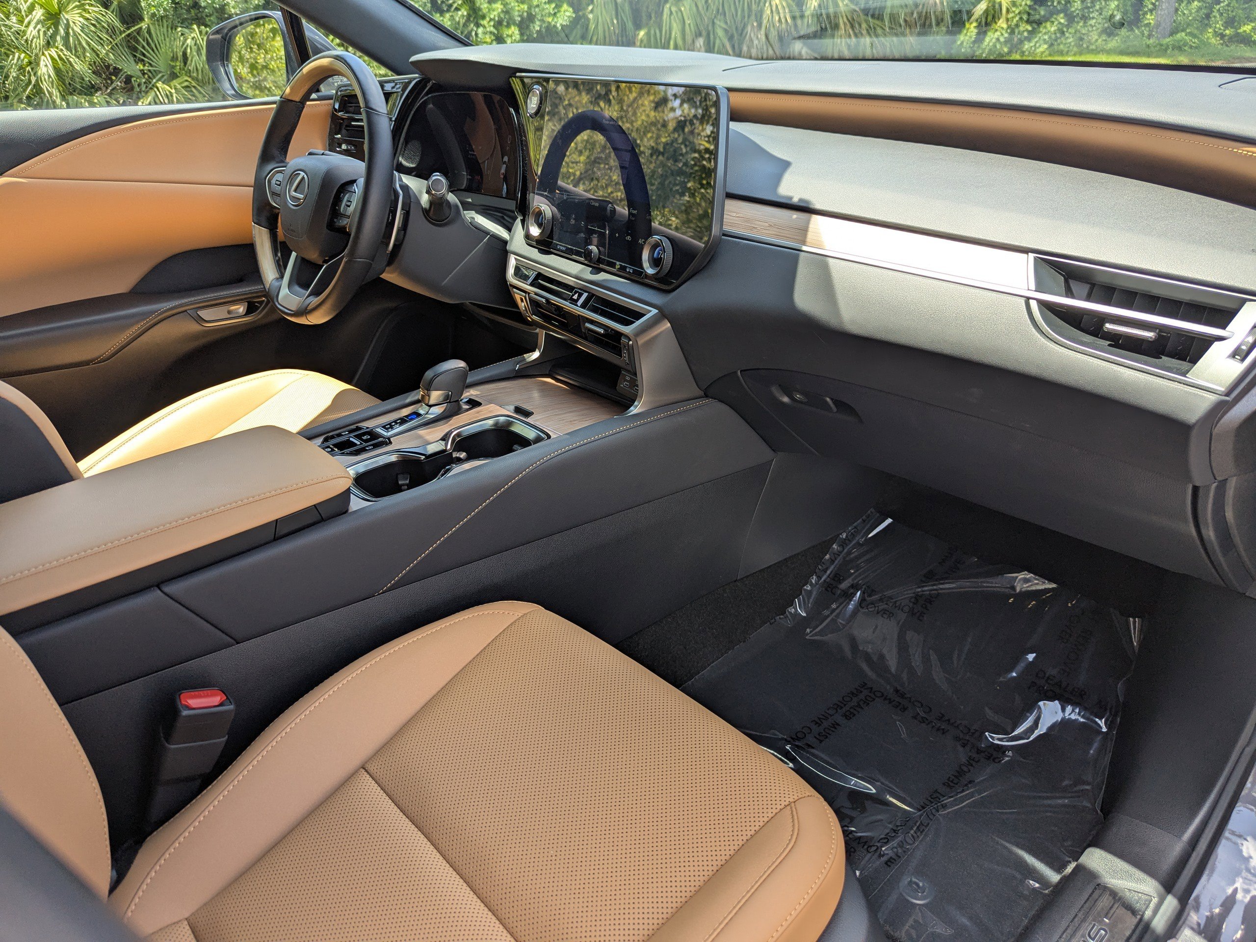 2025 Lexus RX 350 photo 13
