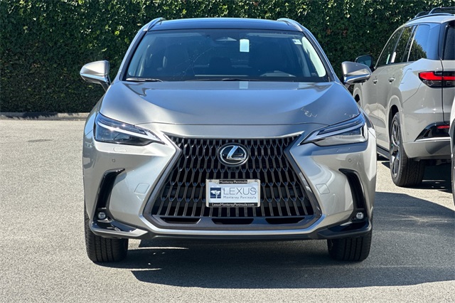 2026 Lexus NX 350h Luxury AWD photo 3