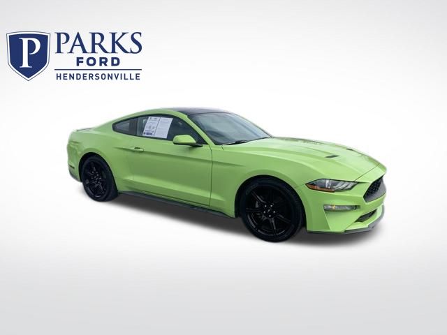 2020 Ford Mustang EcoBoost's photo