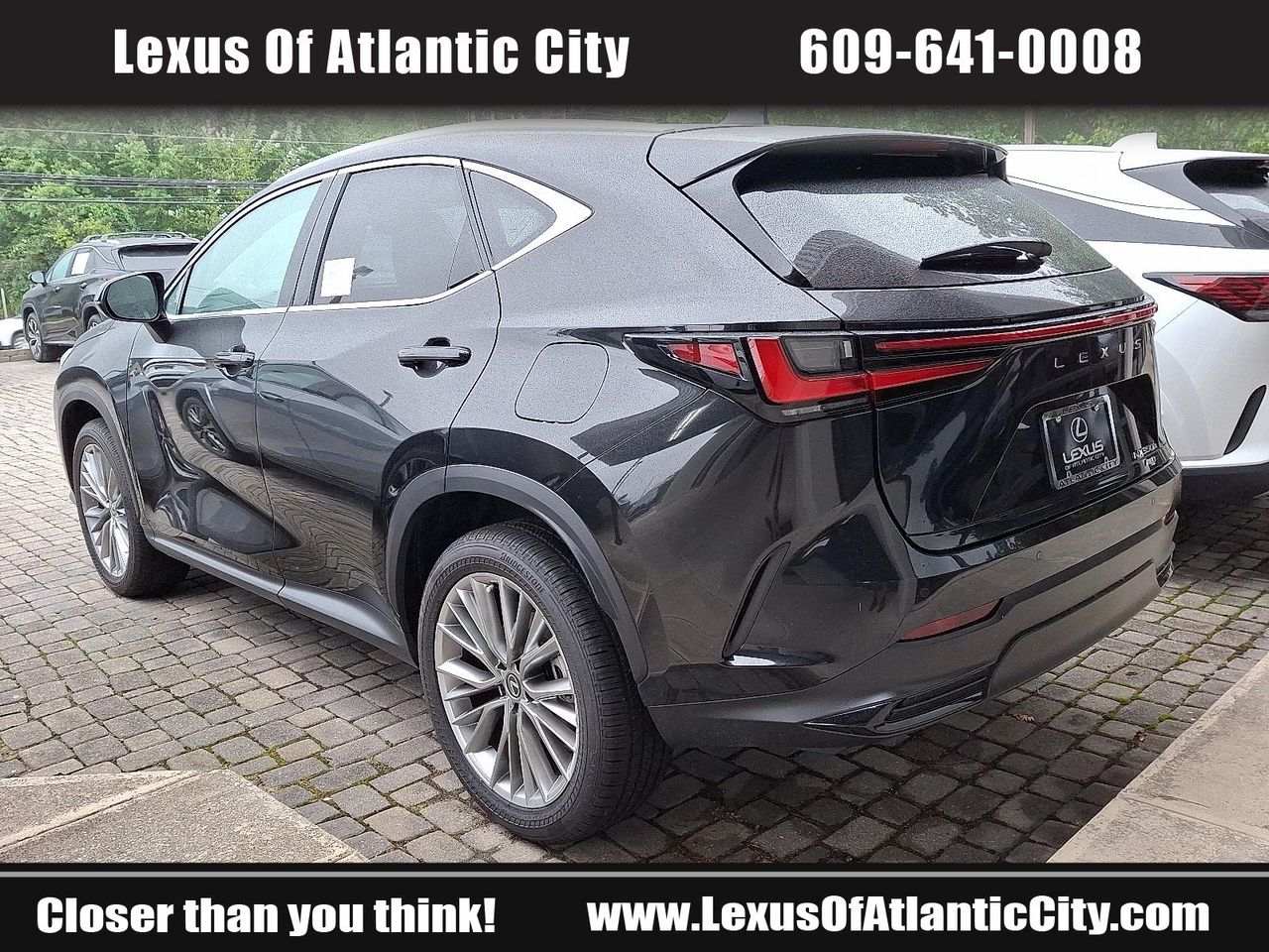 2025 Lexus NX 350h Premium AWD photo 4