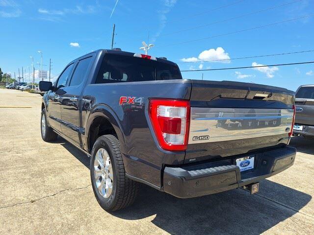 2021 Ford F-150 Platinum photo 3