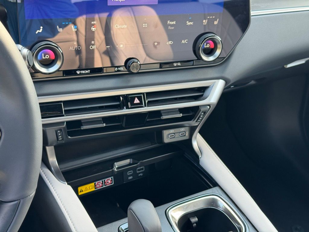 2025 Lexus RX 350 Premium AWD photo 31