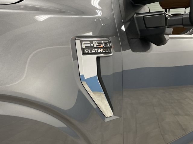 Used 2021 Gray Metallic Ford Platinum image 45