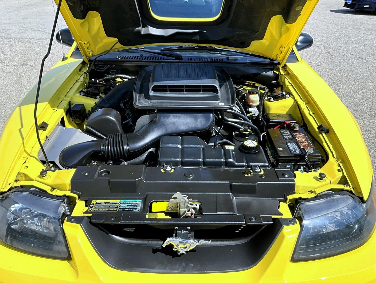 2003 Ford Mustang Mach 1 photo 21