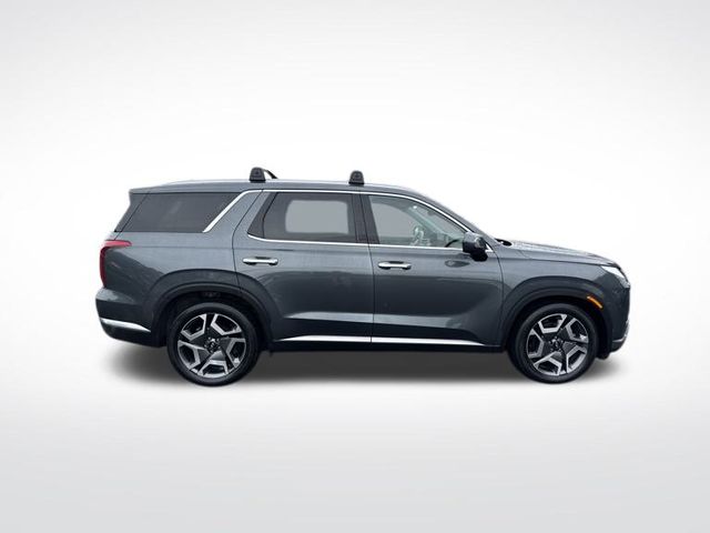 2023 Hyundai Palisade Limited photo 6