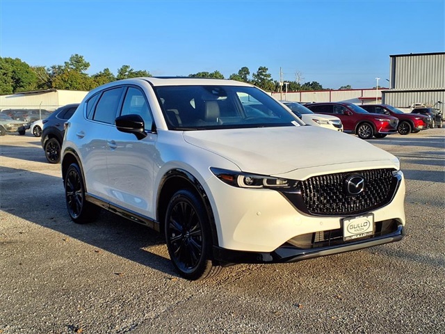 2025 Mazda CX-5 2.5 Turbo Premium Sport photo 3