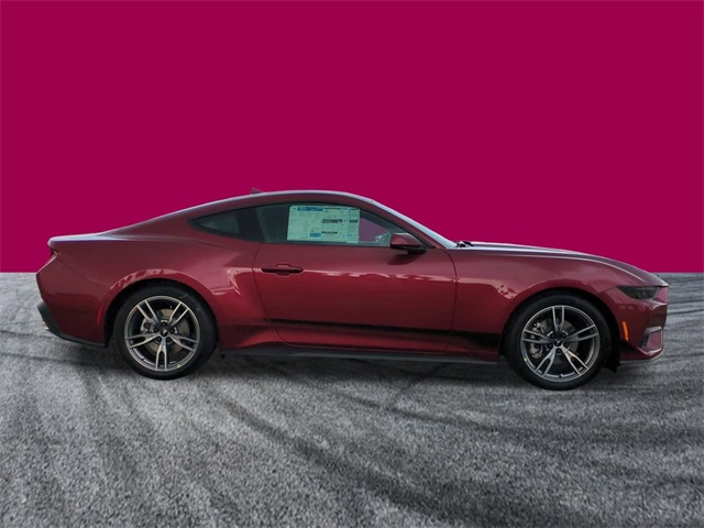 2025 Ford Mustang EcoBoost photo 3