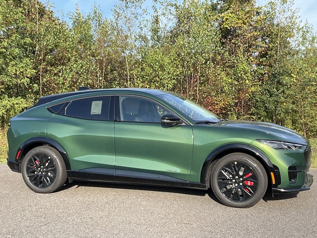 2025 Ford Mustang Mach-E Premium AWD's photo