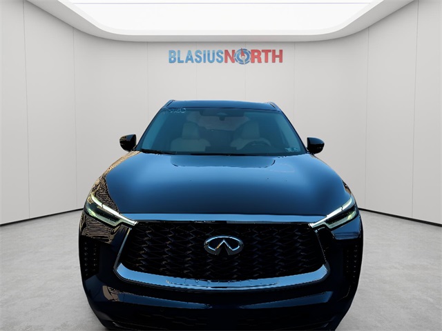 2025 Infiniti QX60 Luxe photo 2