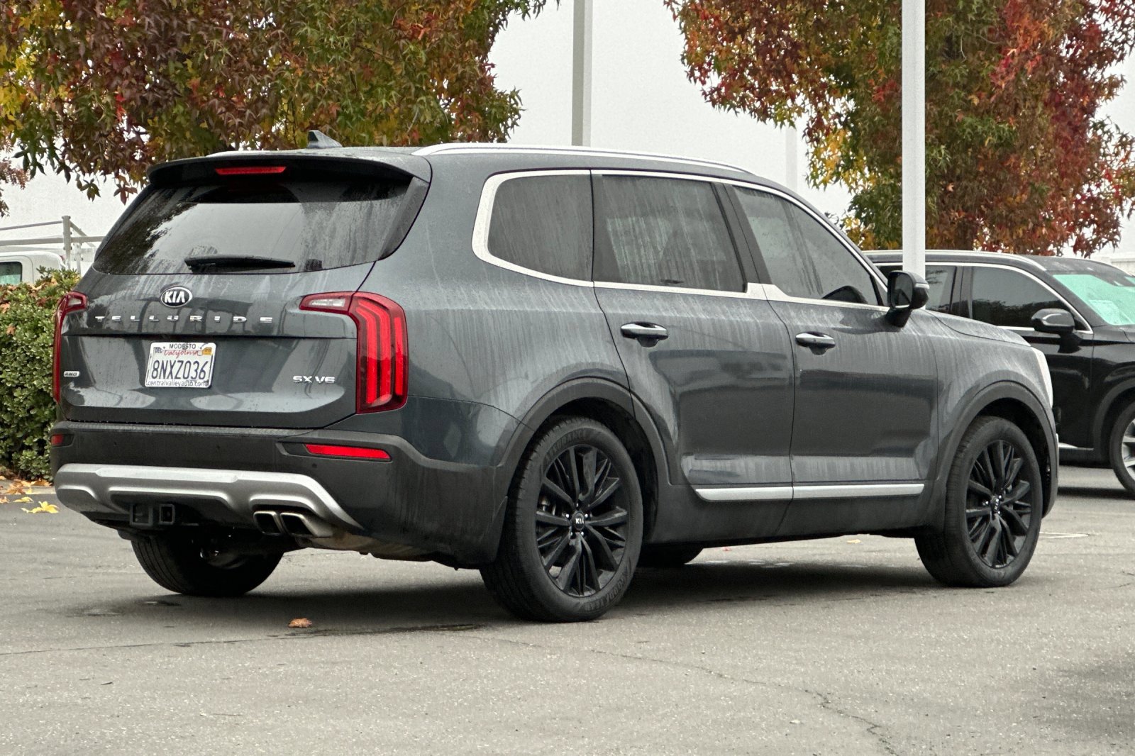 2020 Kia Telluride SX photo 4