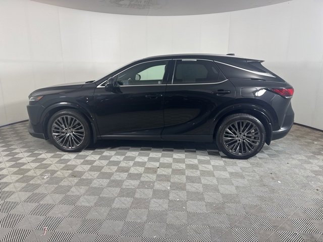 2024 Lexus RX 350 Luxury photo 2