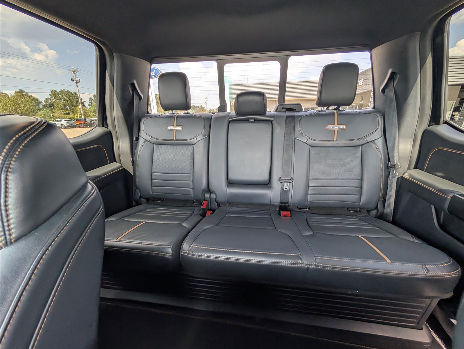 2023 Ford F-150 Platinum photo 15