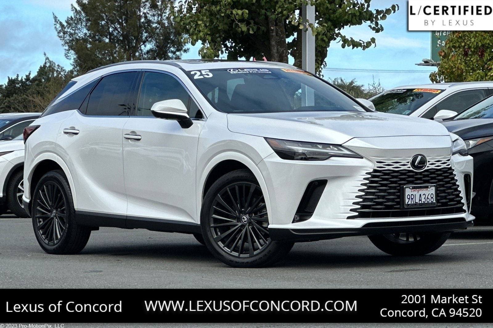 2025 Lexus RX Hybrid 350h's photo