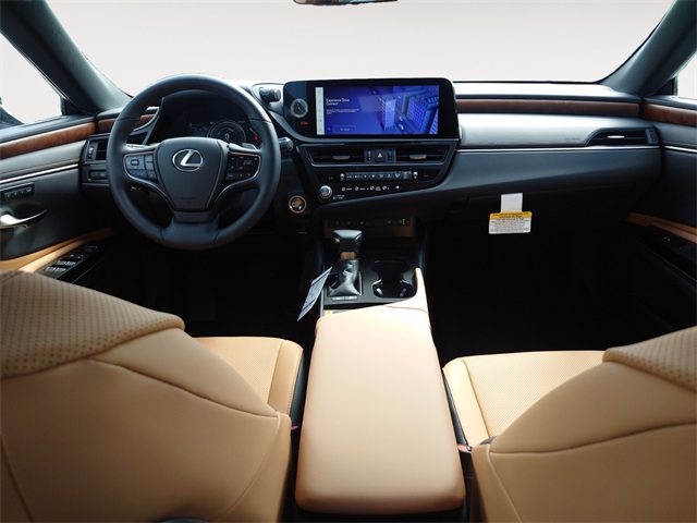 2025 Lexus ES 300h photo 10