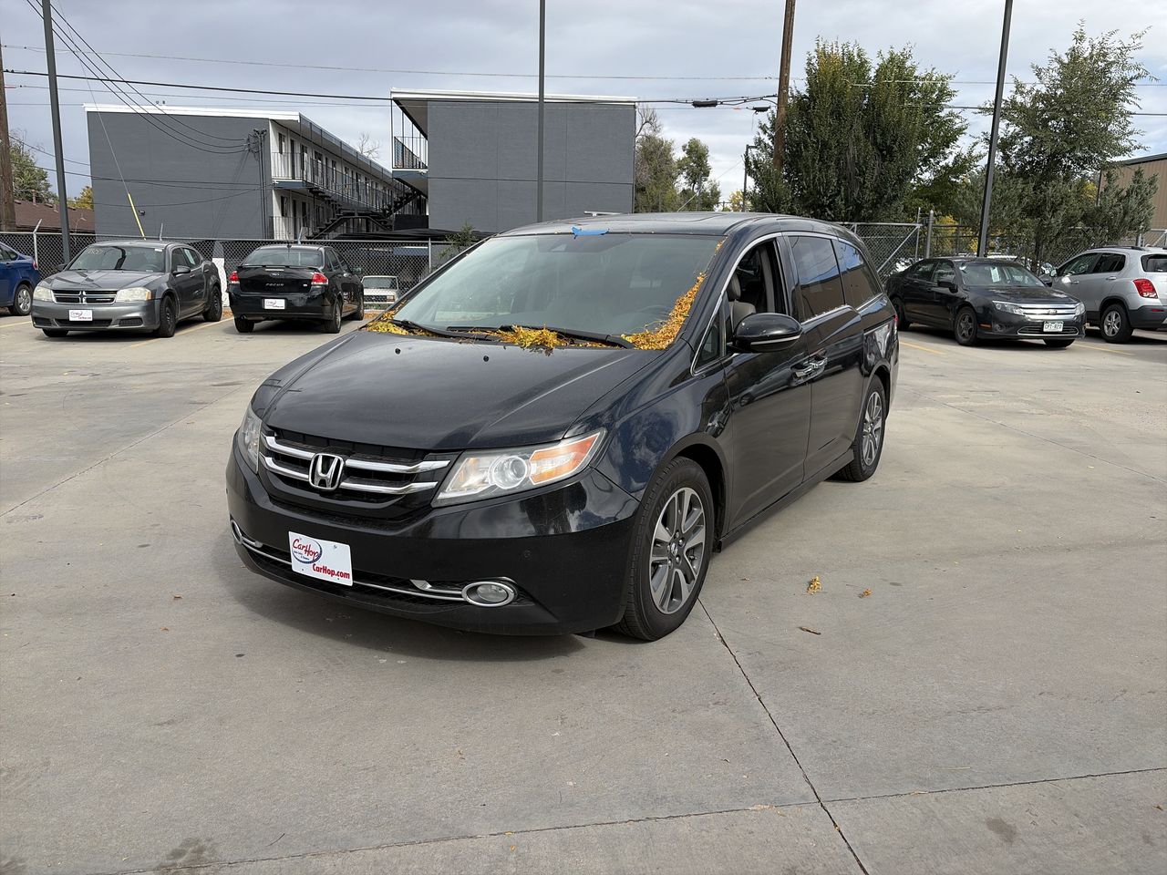 2015 Honda Odyssey Touring's photo