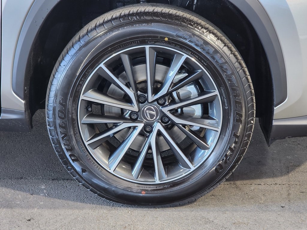 2026 Lexus NX 350h photo 4