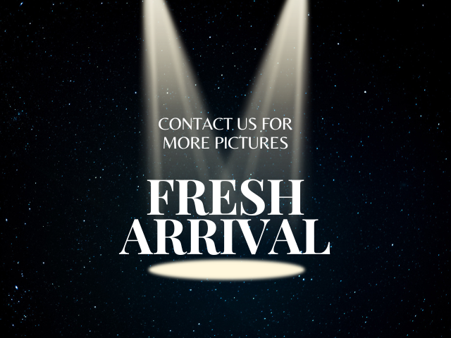 2016 Ford Focus Titanium's photo