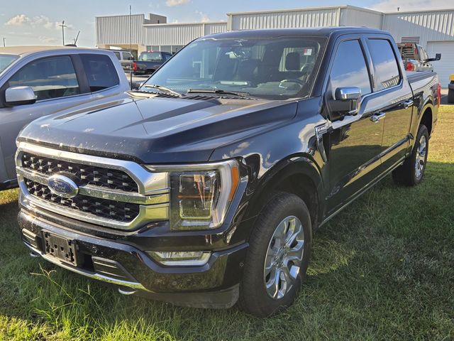 2023 Ford F-150 Platinum photo 3