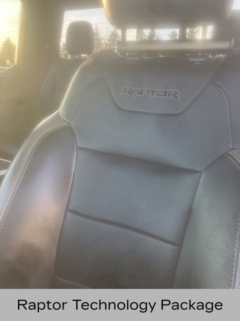 2018 Ford F-150 Raptor photo 2