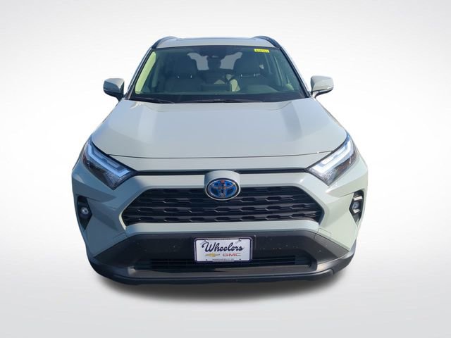 2023 Toyota RAV4 Hybrid XLE Premium photo 7