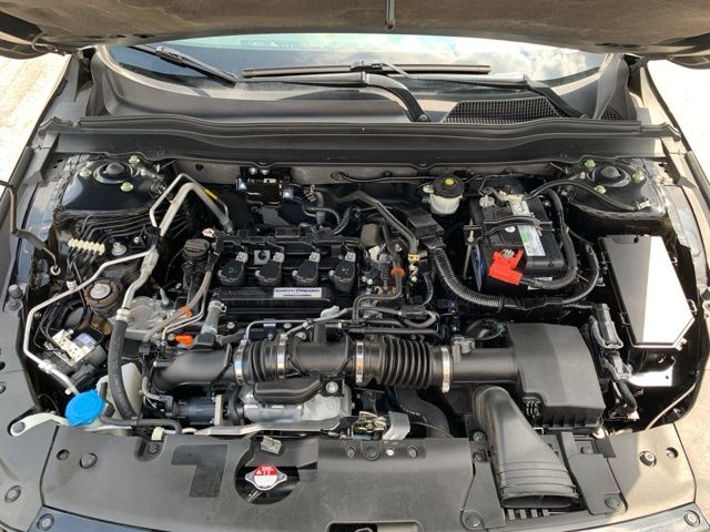 2020 Honda Accord Sport photo 12